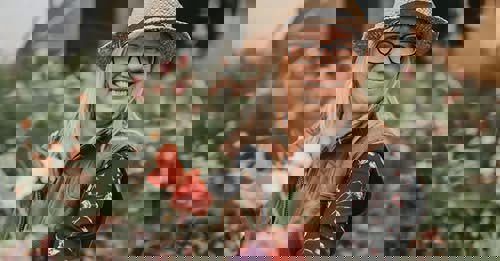 Blomsterinspiration året om